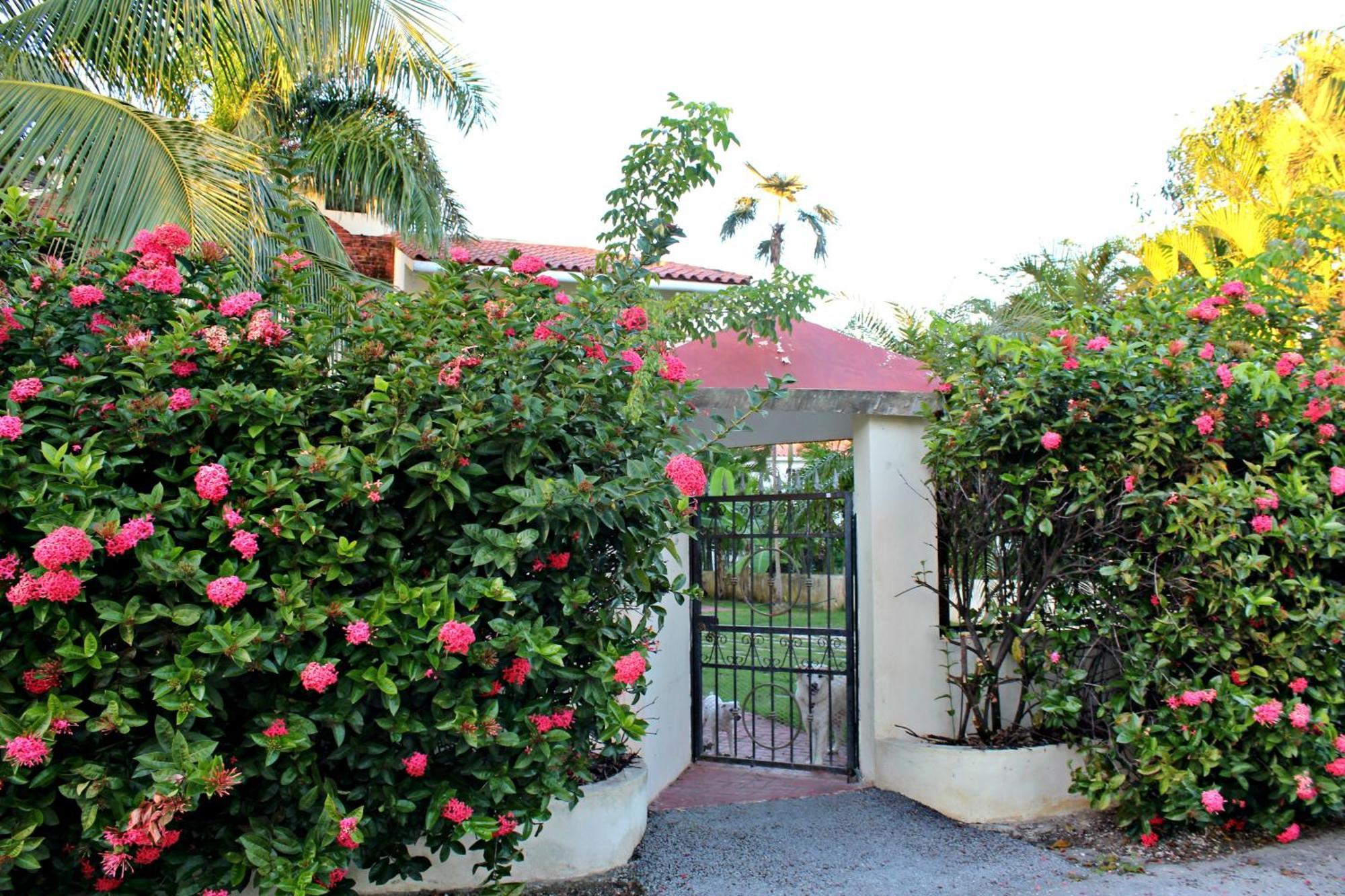 Sweet Home Punta Cana Guest House - VILLA Q15A Exterior foto